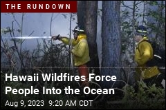 Hawaii Wildfires Force People Into the Ocean