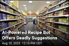 AI-Powered Recipe Bot Offers Deadly Suggestions