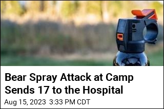 Bear Spray Attack at Camp Sends 17 to the Hospital
