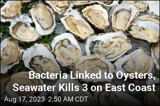 Bacteria Linked to Oysters Kills 3 on East Coast