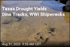 Dino Tracks, WWI Shipwrecks Emerge Amid Texas Drought