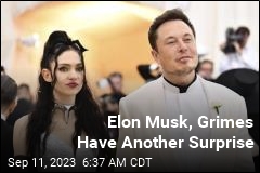 Elon Musk&#39;s Brood Just Got Bigger