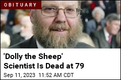 &#39;Dolly the Sheep&#39; Scientist Is Dead at 79