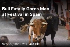 Man Fatally Gored at Bull-Running Festival