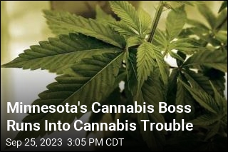 Minnesota&#39;s Cannabis Boss Runs Into Cannabis Trouble