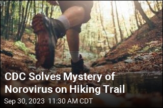 CDC Solves Mystery of Norovirus on Hiking Trail