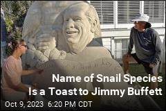 Name of Snail Species Is a Toast to Jimmy Buffett