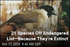 Another 21 Species Are Gone for Good
