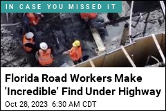 Florida Road Workers Make &#39;Incredible&#39; Find Under Highway
