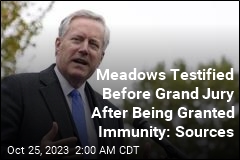 Meadows Testified Before Grand Jury After Being Granted Immunity: Sources