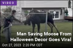 Man Meets Moose: &#39;The Most Canadian Thing I&#39;ve Done&#39;