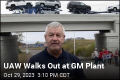 UAW Walks Out at GM Plant