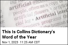 This Is Collins Dictionary&#39;s Word of the Year