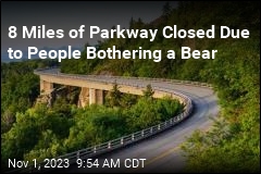 8 Miles of Parkway Closed Due to Visitors&#39; Bear Interactions