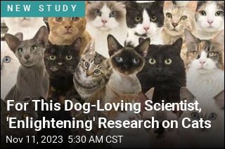 For This Dog-Loving Scientist, &#39;Enlightening&#39; Research on Cats