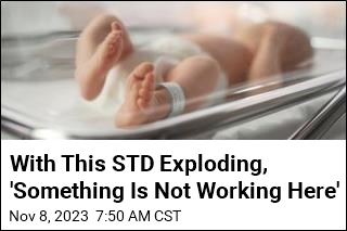 With This STD Exploding, &#39;Something Is Not Working Here&#39;
