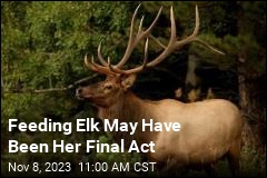 Fatal Elk Attack Marks a First