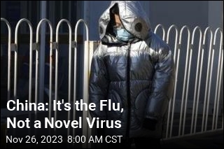 China: It&#39;s the Flu, Not a Scary New Virus