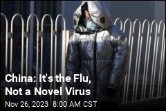 China: It&#39;s the Flu, Not a Scary New Virus
