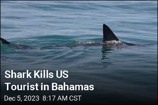 Shark Kills US Tourist in Bahamas