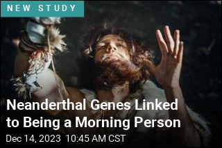 Morning People Tend to Have Neanderthal Genes