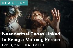 Morning People Tend to Have Neanderthal Genes