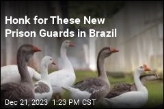 Meet the New Prison Guards of Brazil