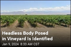 Headless Body Posed in Vineyard Is Identified