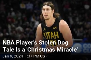 How a Stolen Dog Attended NBA Player&#39;s Christmas Dinner