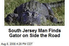 South Jersey Man Finds Gator on Side the Road