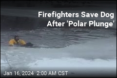Firefighters Save Dog After &#39;Polar Plunge&#39;