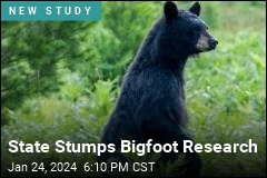 State Stumps Bigfoot Research