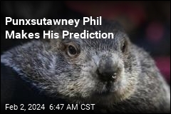 Punxsutawney Phil Predicts Early Spring