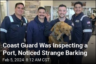 Coast Guard Was Inspecting a Port, Noticed Strange Barking