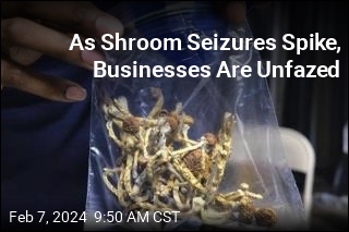 As Shroom Seizures Spike, Businesses Are Unfazed