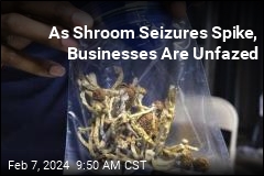 As Shroom Seizures Spike, Businesses Are Unfazed