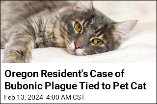 Oregon Resident&#39;s Case of Bubonic Plague Tied to Pet Cat