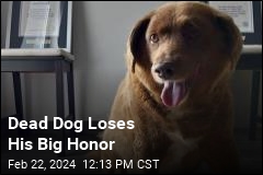 Dead Dog Loses His Big Honor