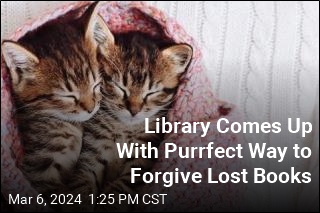 Library Comes Up With Purrfect Way to Forgive Lost Books