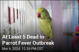 At Least 5 Dead in Parrot Fever Outbreak