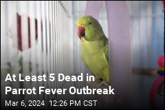 At Least 5 Dead in Parrot Fever Outbreak