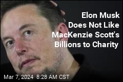 Musk Just Can't Drop Grudge Against a Fellow Billionaire