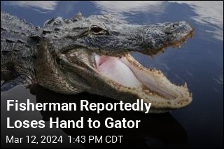 Fisherman Reportedly Loses Hand to Gator