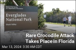 Rare Crocodile Attack Takes Place in Florida