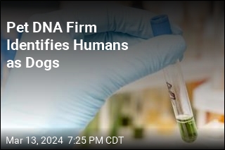Dog DNA Testing Firm Identifies Human as Malamute Mix