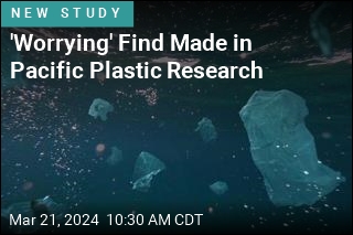 &#39;Worrying&#39; Find Made in Pacific Plastic Research