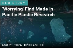 &#39;Worrying&#39; Find Made in Pacific Plastic Research