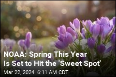 NOAA: Spring This Year Is Set to Hit the &#39;Sweet Spot&#39;