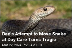 Man Dies Trying to Protect Kids From Snake