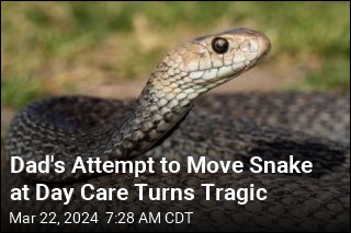 Man Dies Trying to Protect Kids From Snake